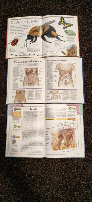 Atlase corpul uman și o enciclopedia în limba italiană