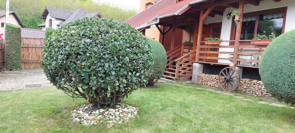 Casa rusticala cu vedere spre lac, și de Revelion!