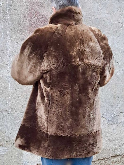 Haina de blana de dama, Mouton D'Ore