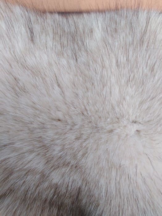 Полярна лисица- естествена обработена и маркирана кожа.