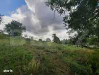 Anexa cu teren  5000mp, langa padure, Dobrovat
