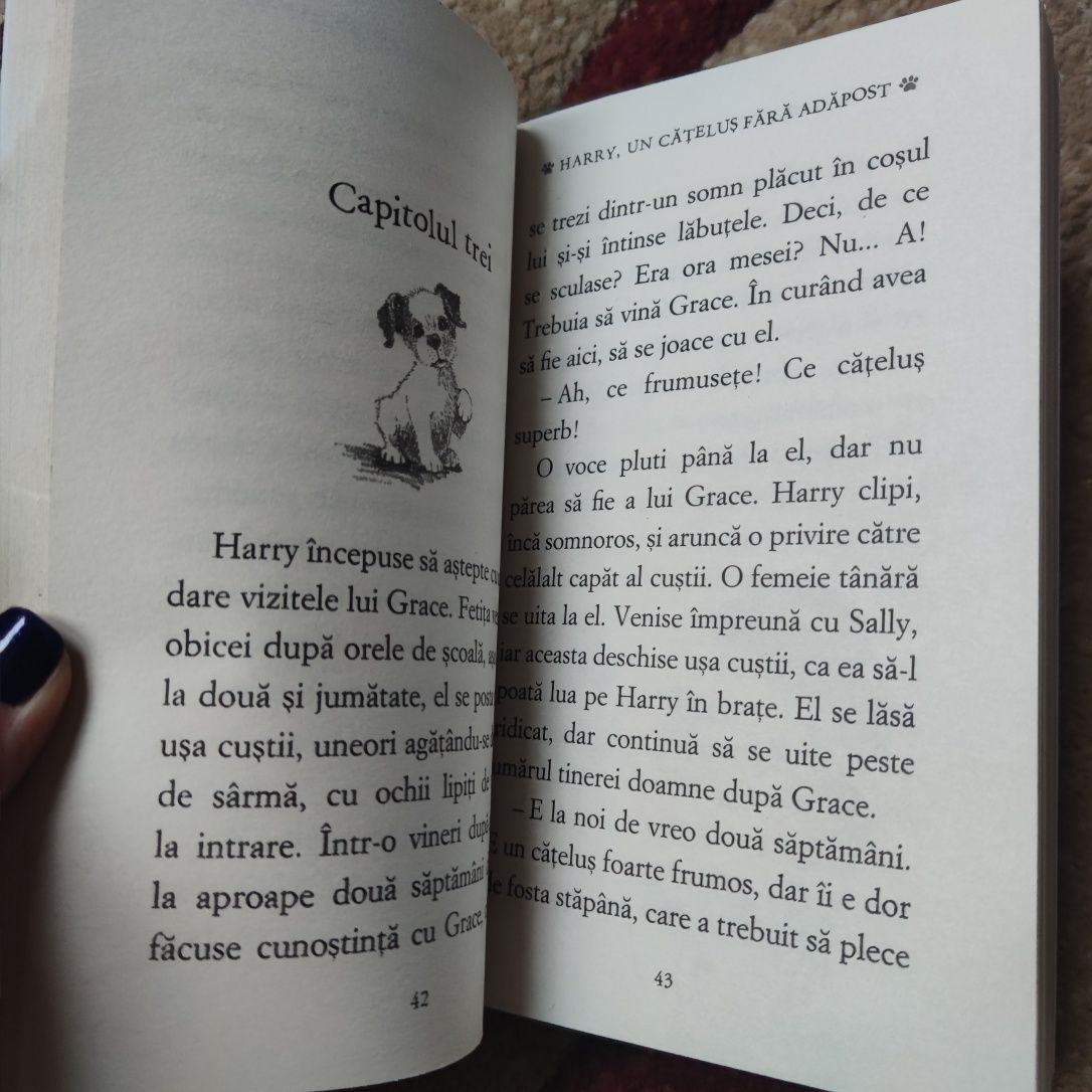 Carte Holly web - Harry un cățeluș fara adapost