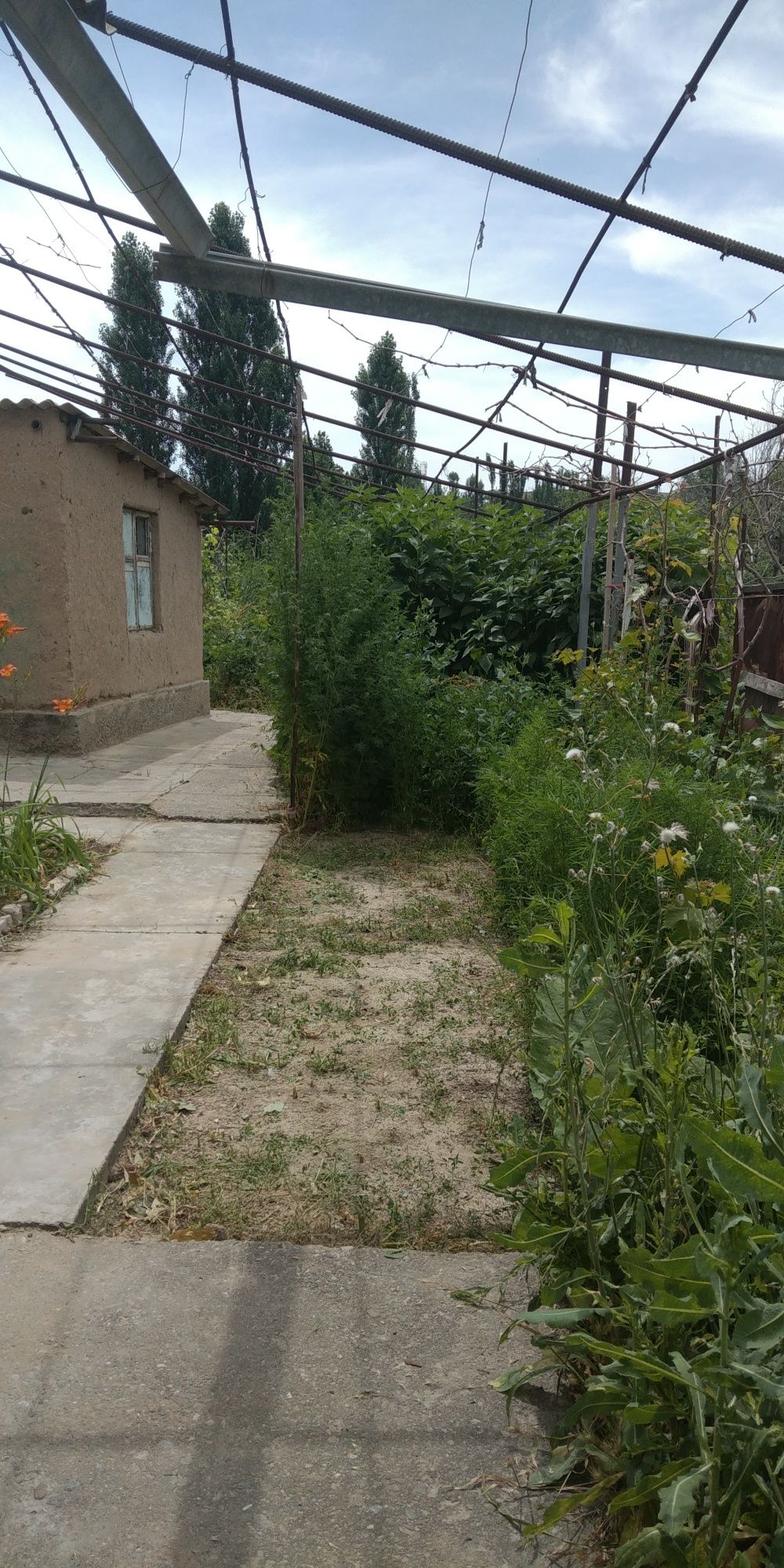 СРОЧНО Продаётся дом с участком в Майский