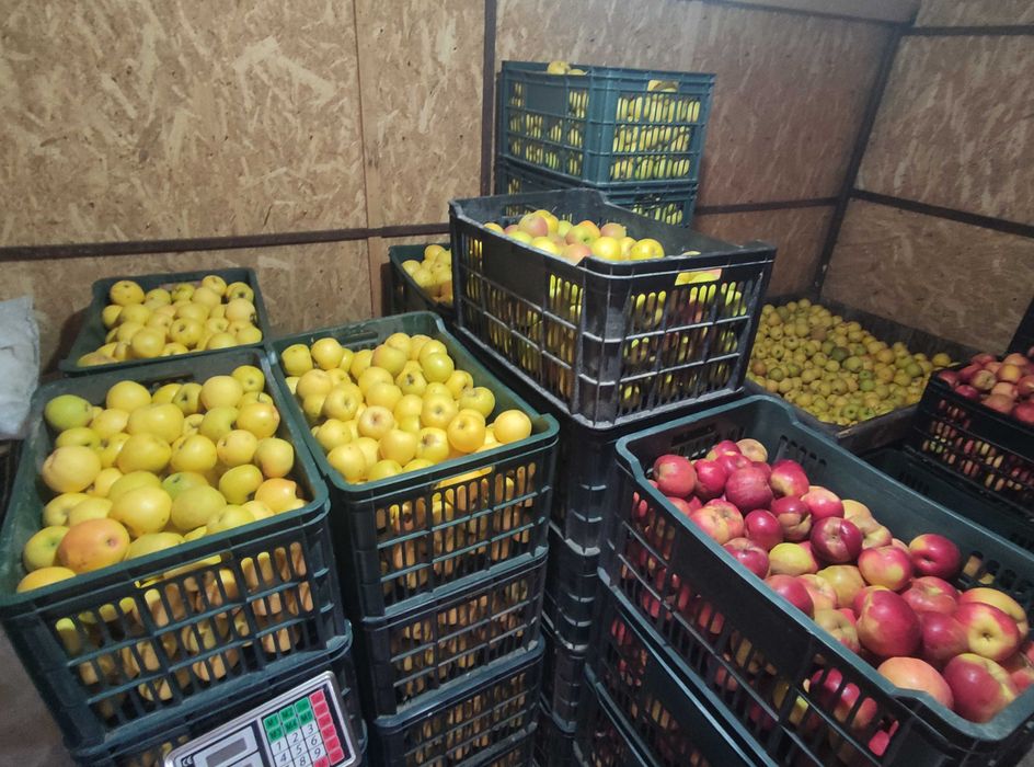 Avem mere golden, jonathan, florina, fuji