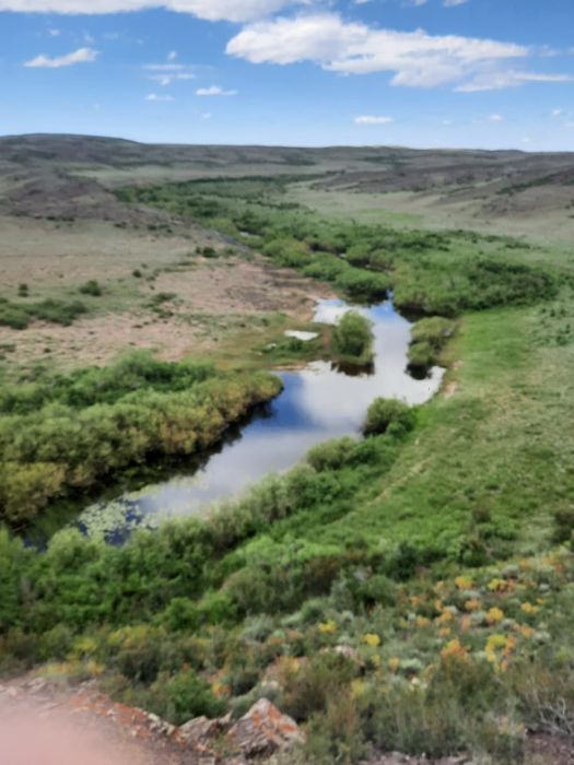 Продам землю и крестьянской хозяство