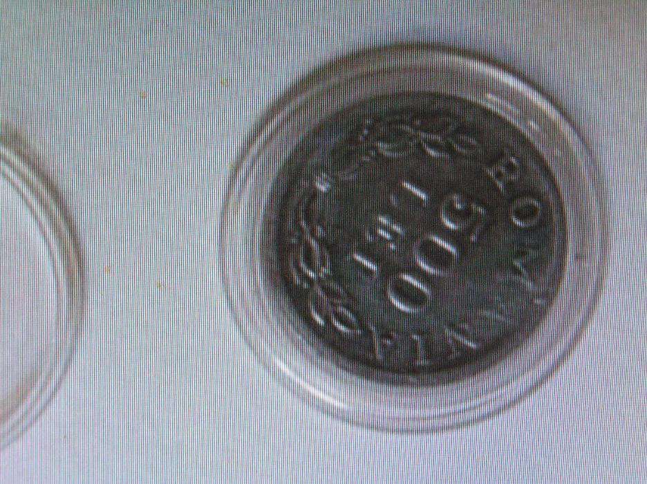 moneda rara 500 lei