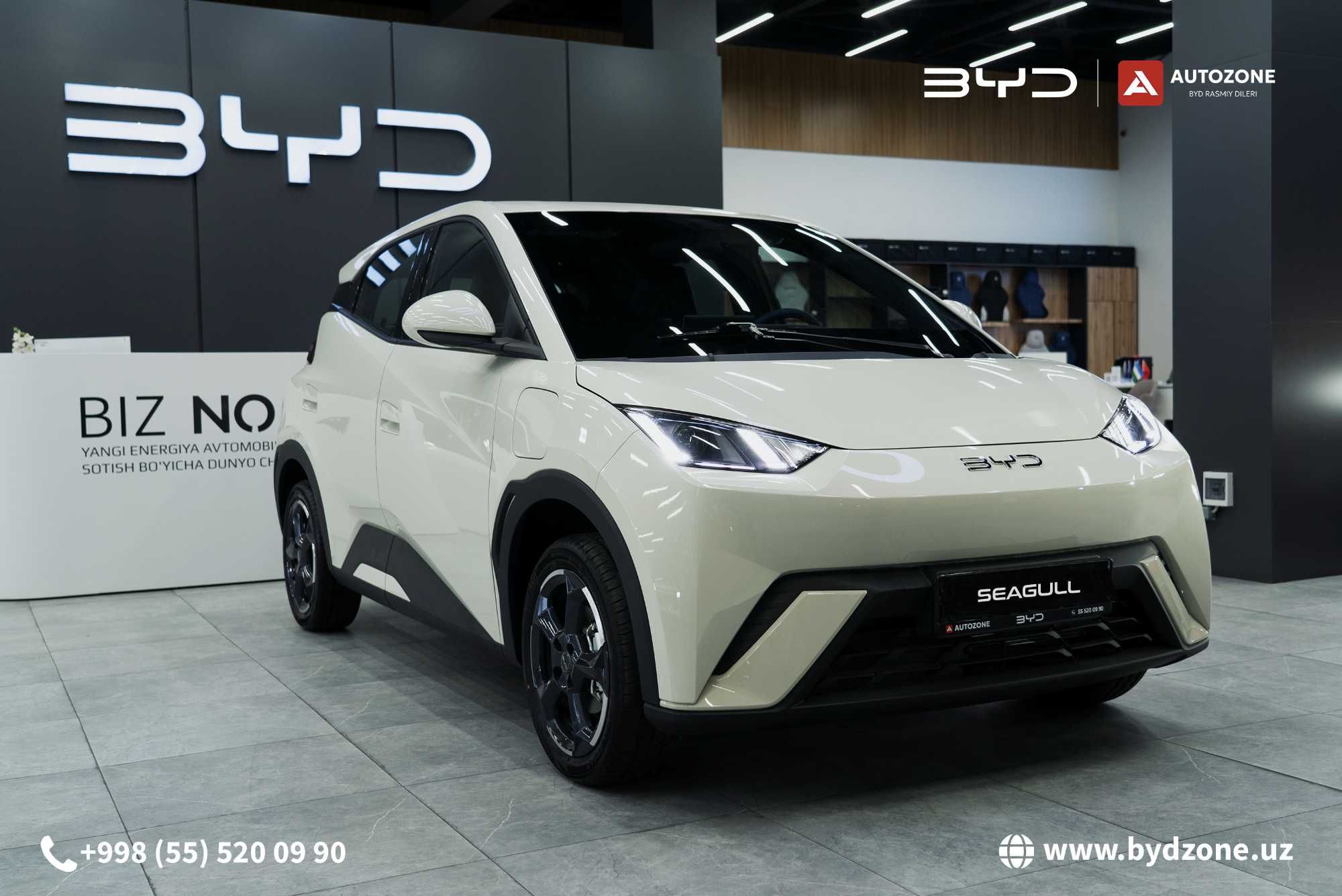 BYD Seagull 405km Flying - Официальный дилер Луначарский