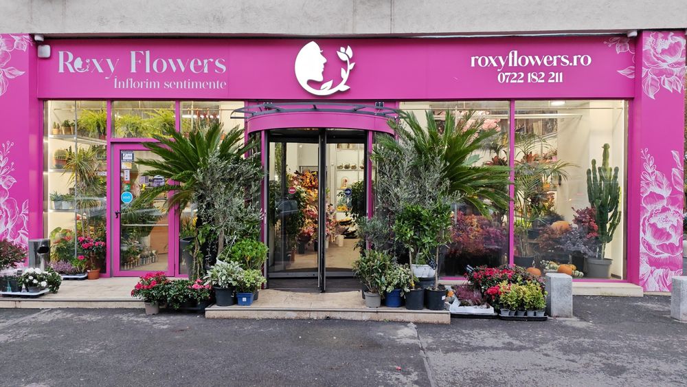 Producție Reclame luminoase