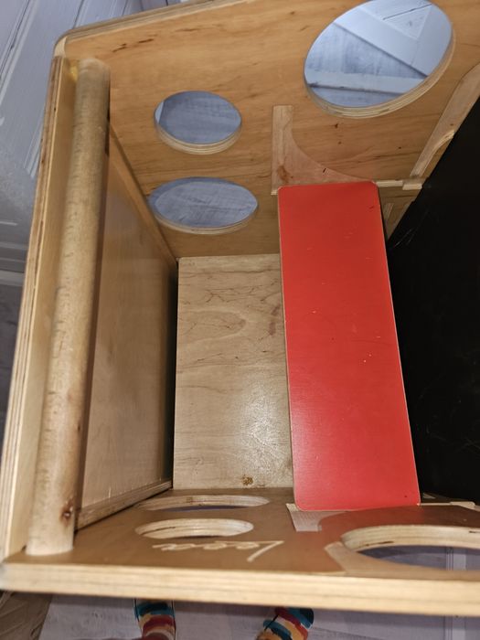 Turn de invatare Leea