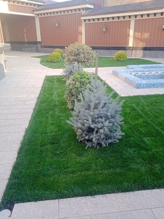 Садовник богбон ланшафтни дизайн газон хизмати