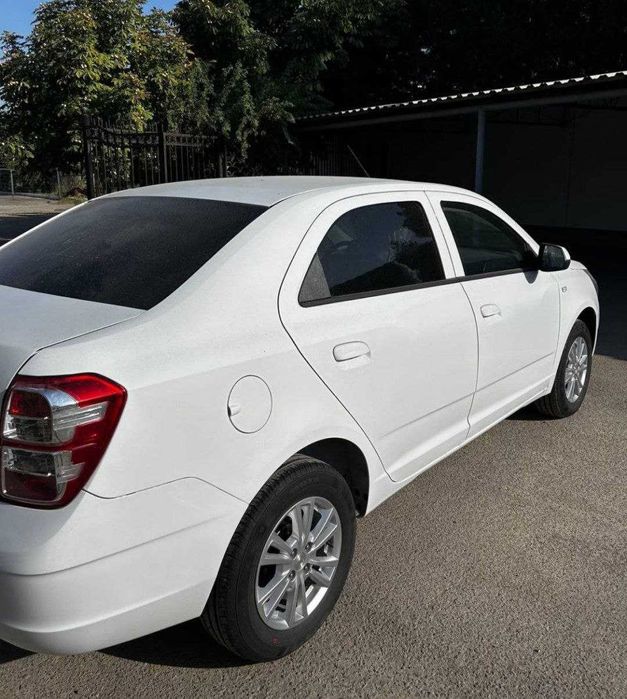 rasrochka cobalt pachka