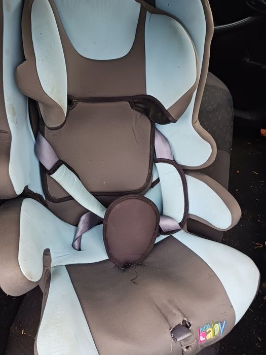 Disponibili scaun auto