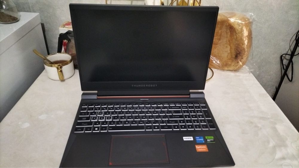 Ноутбуг ThundeRobot 911 X wild hunter G2 Pro