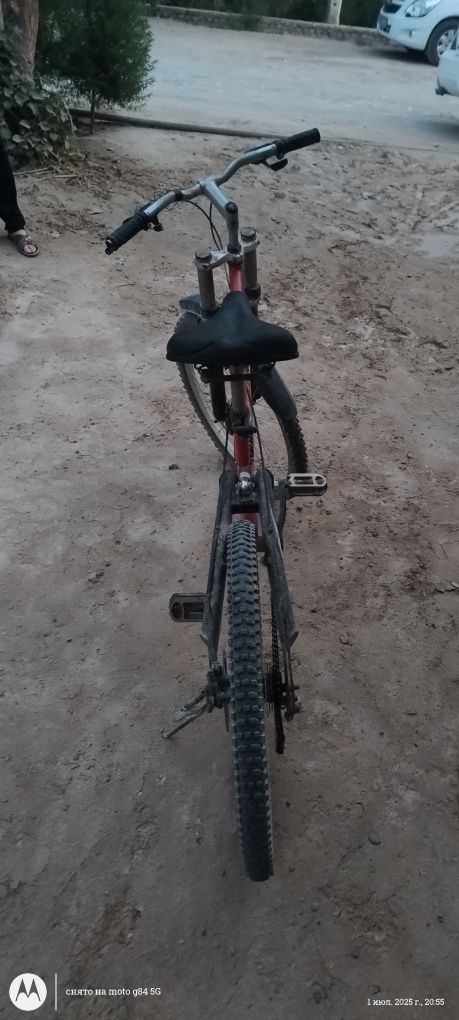 Velik skorsli zor