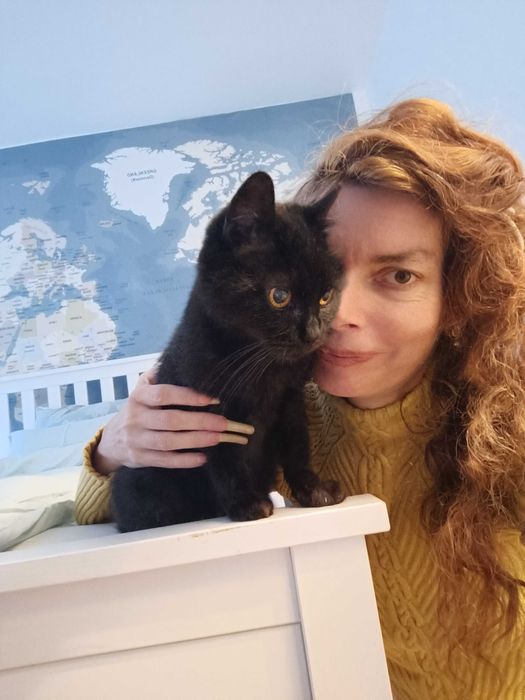 Pet sitter ( plimb caini/vizite pisici)