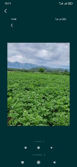 Земельный участок в селе Поперечное