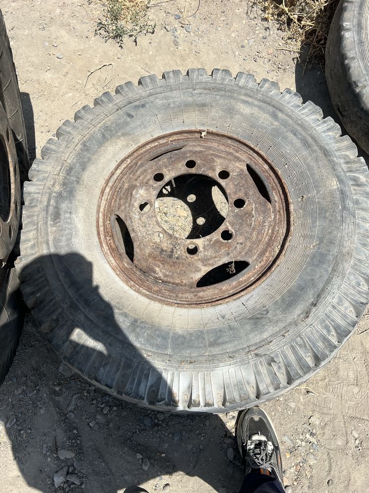 Balon diska poligonniki sotiladi