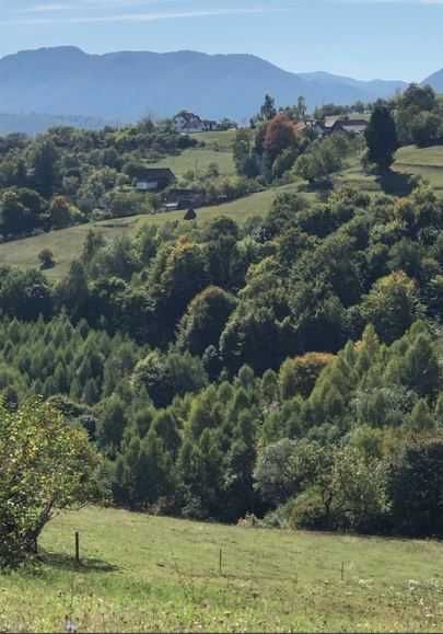 Teren intravilan construibil Poiana Marului, Brasov