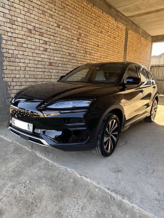 BYD Champion 605 km 2024