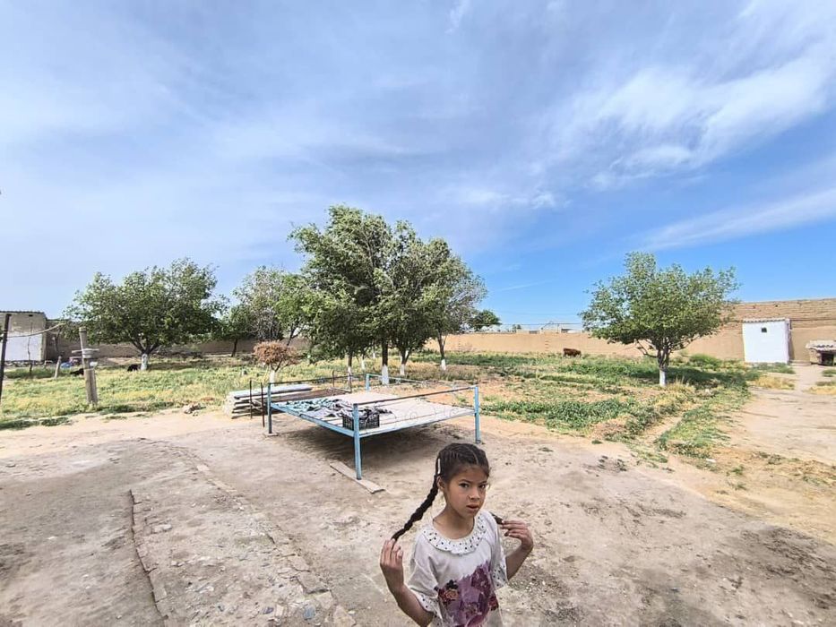 Канимех Карвон йули