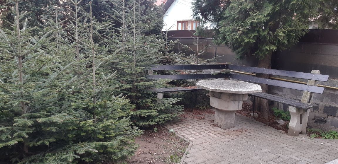 UltraCentral Bv casa vanzare de la proprietar