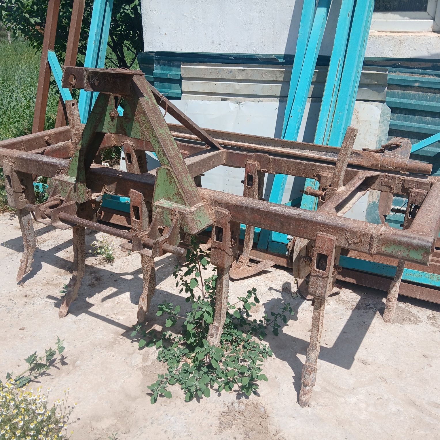 Пүшта Шыжыл сатылады