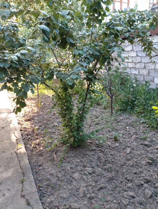 Продается срочно дом!