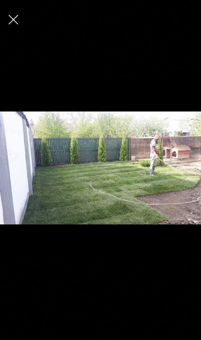 Gazon sau insamantare