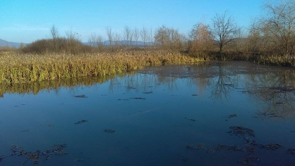 Pescarie de vanzare in barsa județul arad