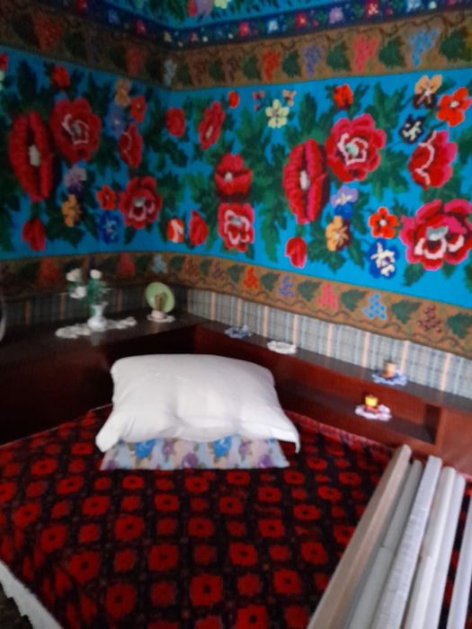 Casa in Soveja/ Vrancea la strada