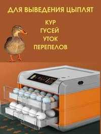 Инкубатор для яиц купить