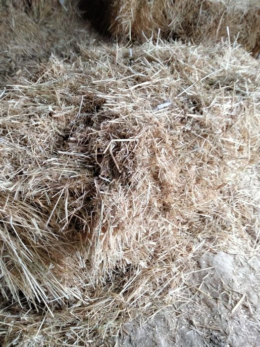 sotiladigan posbonlar bor