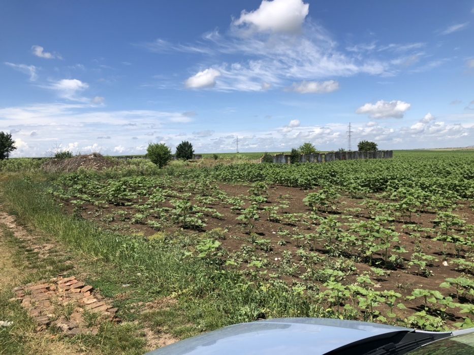 Teren de vanzare/Parcela de 5000mp la 12 km de TM in Dudesti Noi