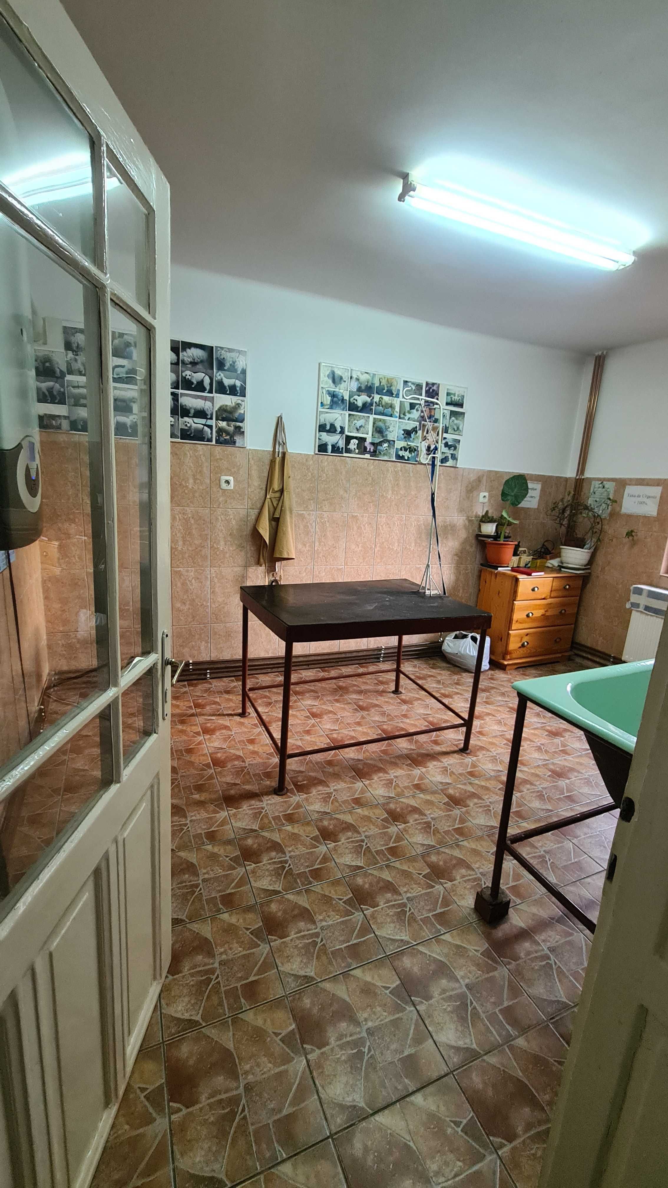 Casa cu etaj 3 camere, 2 bai, 1 garaj, 1 magazie, gradina ZONA 14 MAI