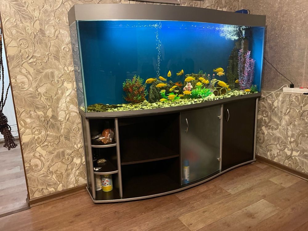 Продам большой аквариум с рыбками