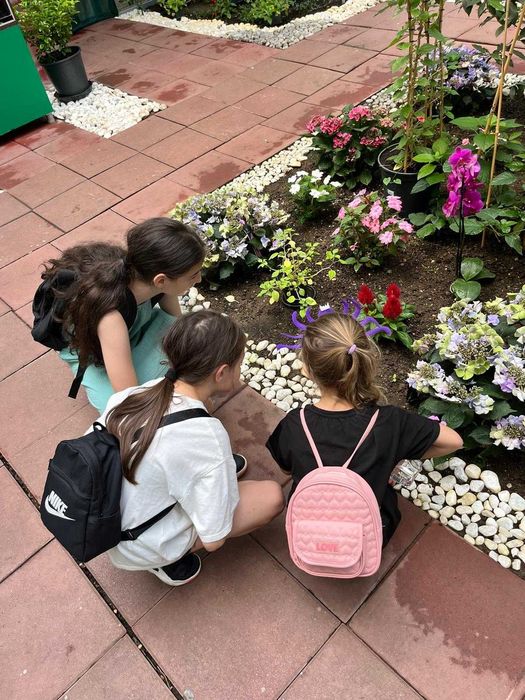 CENTRU EDUCATIONAL - afterschool sector 4, Bucuresti