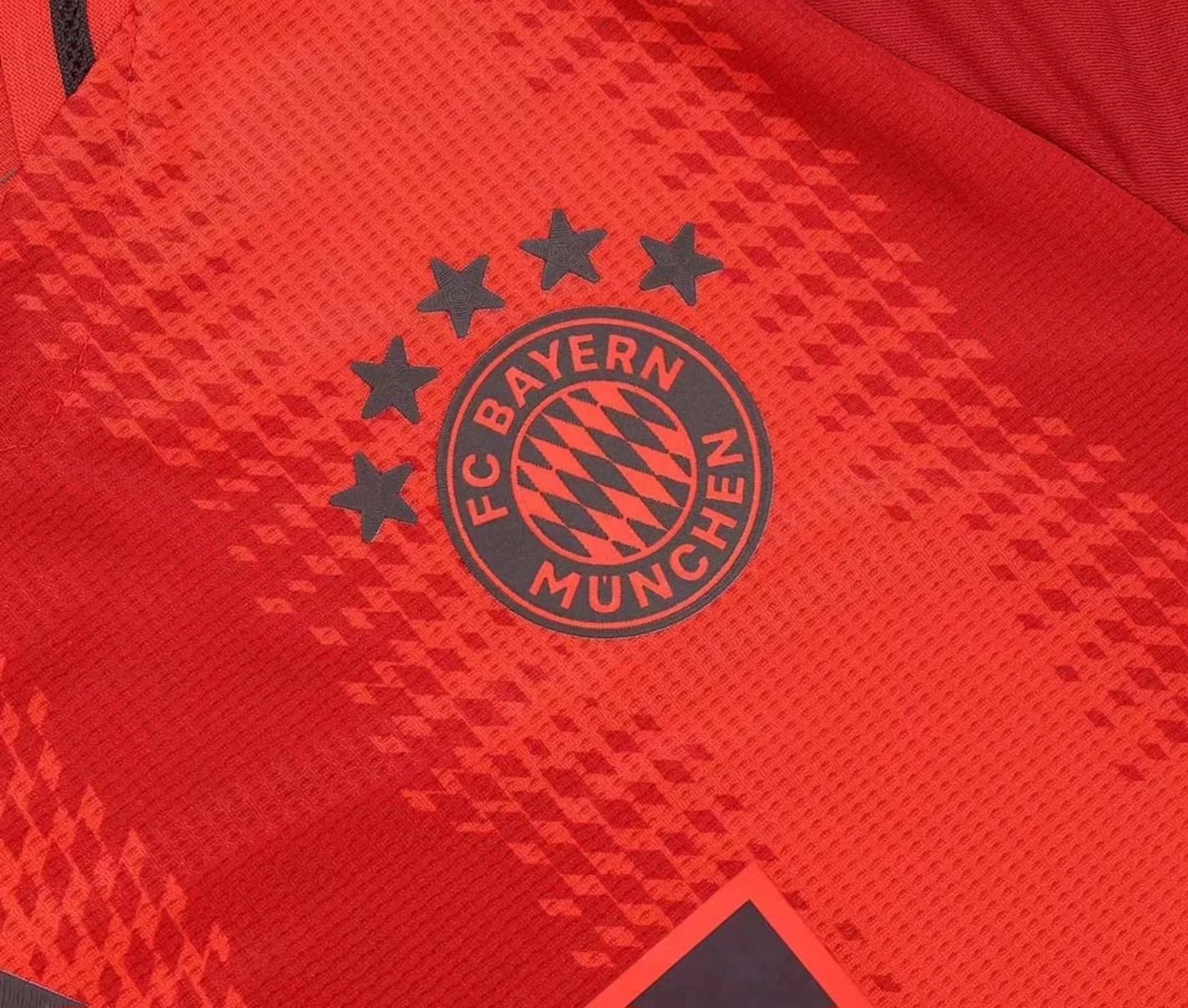 Байерн Мюнхен/Bayern Munich 2024/2025