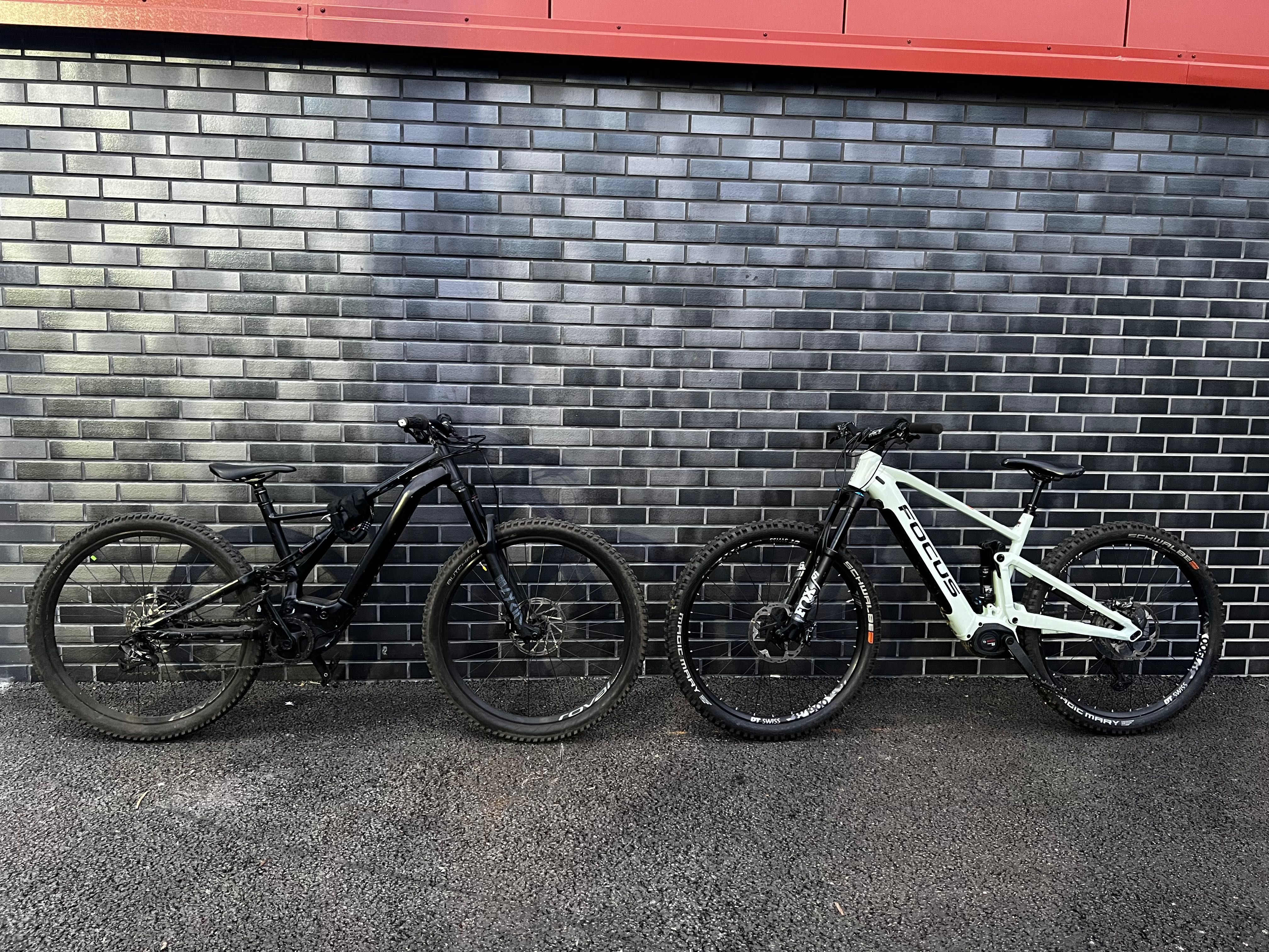 Specialized Turbo Levo 29 L