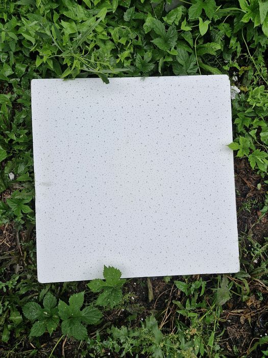 Продам печеньки новые. 60 × 60