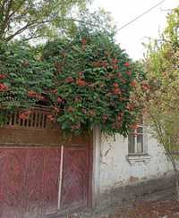 Продается дом  в Яккасарйском районе