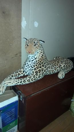 Продам большого леопарда