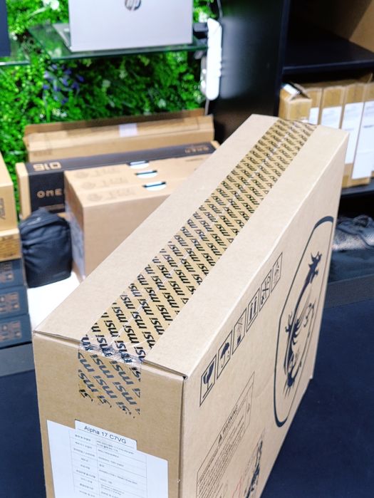 MSI Alpha 17.3 Ryzen9 4070