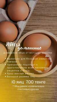 Продам свежие домашние куриные яйца