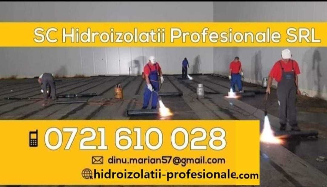 Hidroizolatii Profesionale