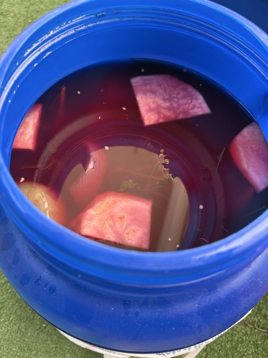 Muraturi asortate la butoi 10l