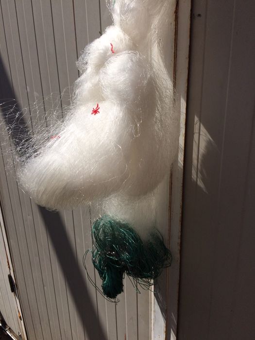 Plase pescuit cu radine