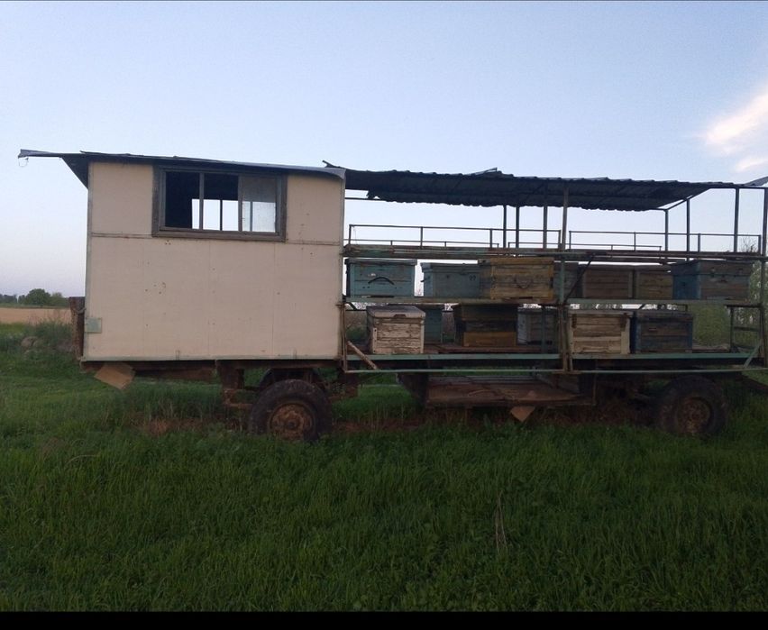 Асалари прцеп яшиклари билан сотилади
