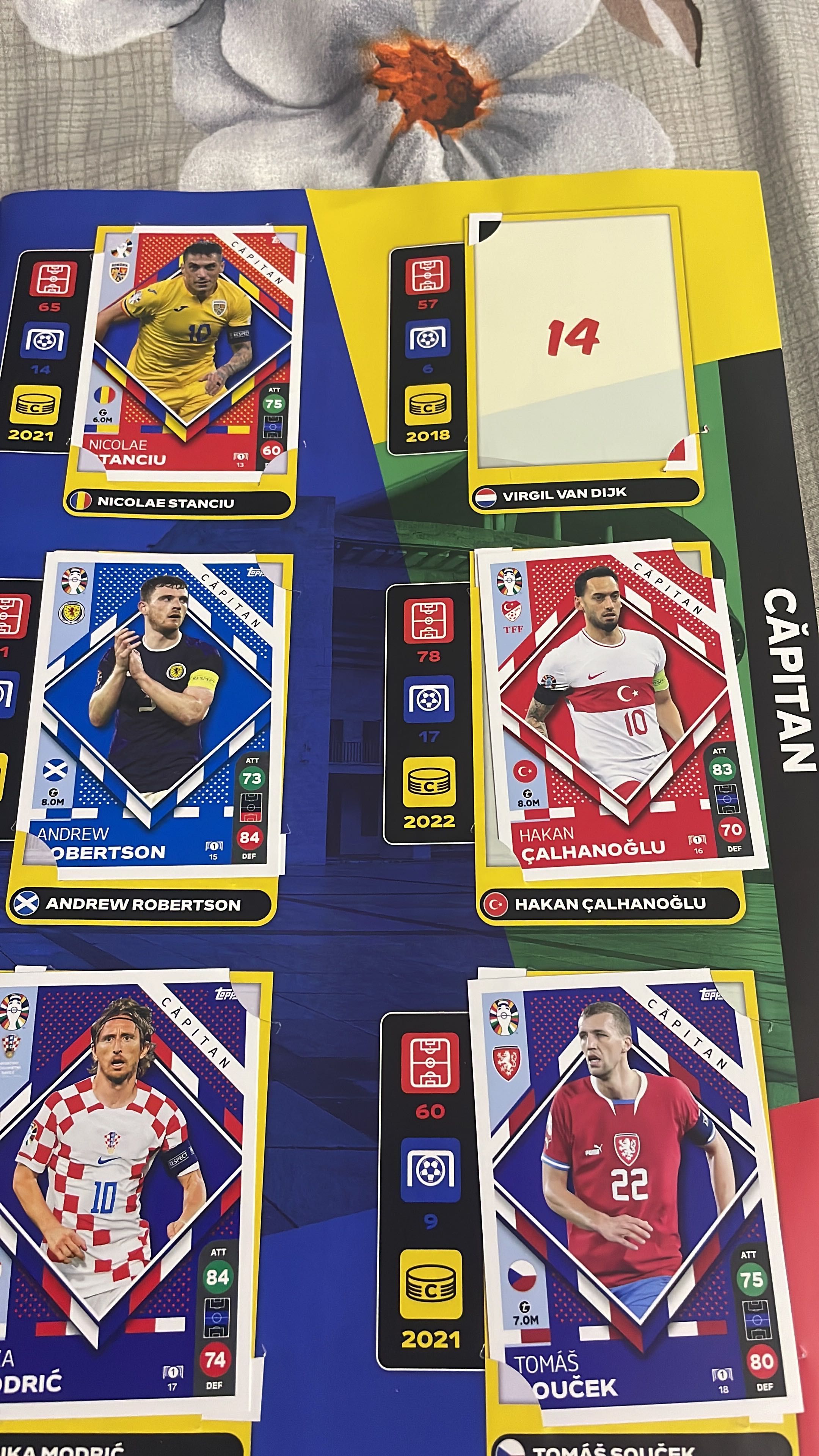 Catalog euro 2024