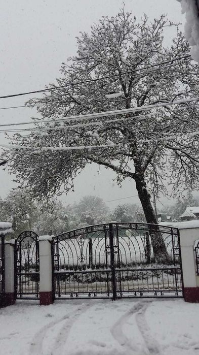 Gard Metalic Fier Forjat