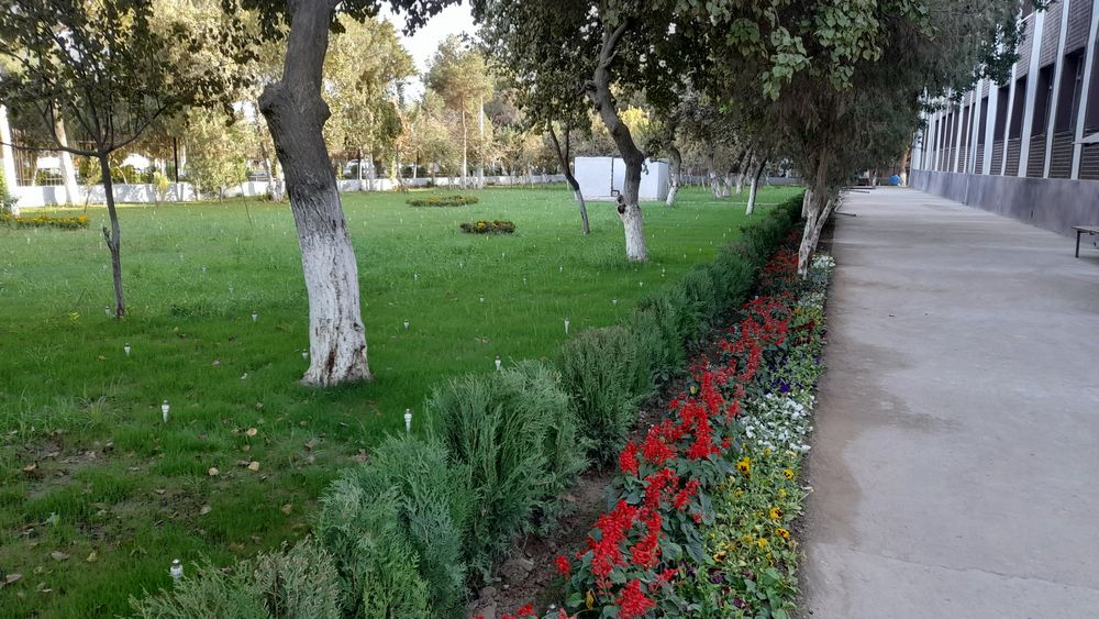 Gazon ekish lanshaft